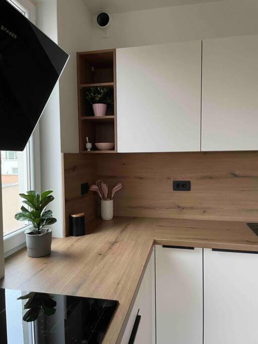 Mely Rose Apartment Ljubljana Bagian luar foto